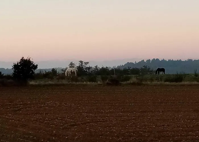 別荘 Les Bichous *